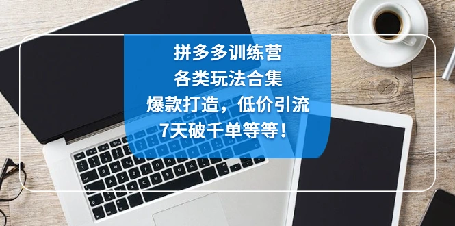 图片[1]-拼多多训练营：各玩法合集，爆款打造，低价引流，7天破千单等等，拼多多，电商，拼多多流量密码，拼多多爆款打造，拼多多大额券玩法，拼多多低价引流玩法，拼多多秒杀玩法，牛课资源网4月最新副业创业项目视频教程-牛课资源网